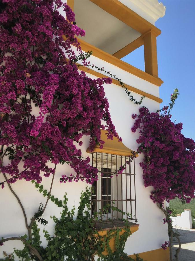 Hacienda La Morena Montellano Екстериор снимка